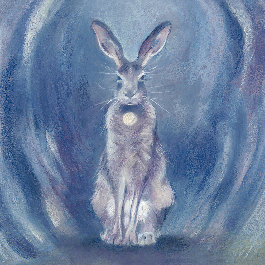 purple hare background image