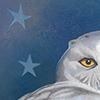 Seasonal card design for CAMDA - Snowy Owl