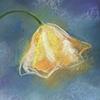 "By the Light of a Flower". Featured on a calendar, an art print and a greeting card. Original drawing SOLD.
