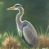 "Heron at Fisher's Pond". Featured on a calendar, an art print and a greeting card. Original drawing also available. 