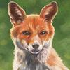 Portrait of a young fox. Featured as an ornament. Original drawing available. 